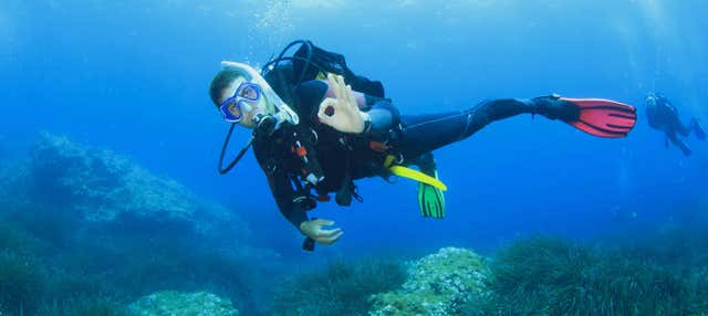 Bautismo de buceo en Puerto Addaya