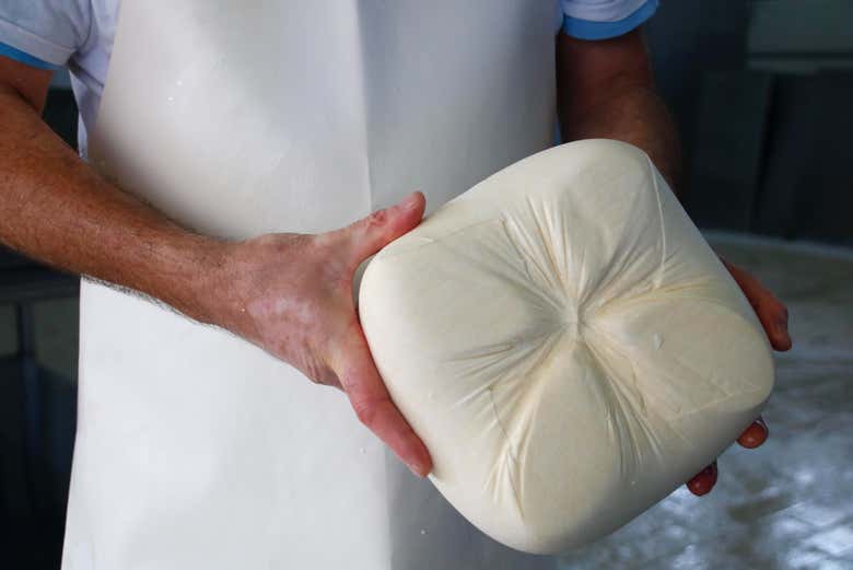 Aprenderéis los datos más curiosos acerca del queso