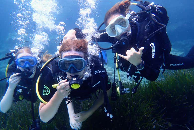 Disfrutaréis de una emocionante experiencia