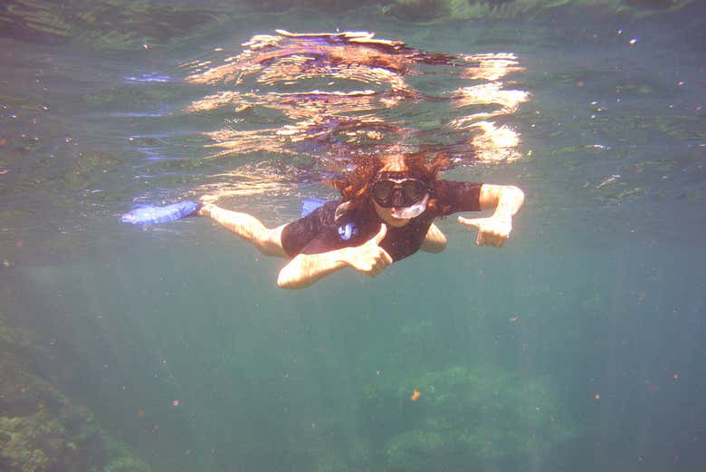 Descubriendo el fondo marino de Menorca