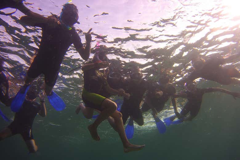 Explorando la Reserva Marina del Norte de Menorca
