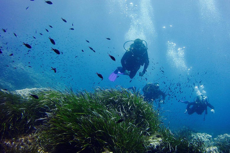 Swimming amongst fish and seagrass in Menorca