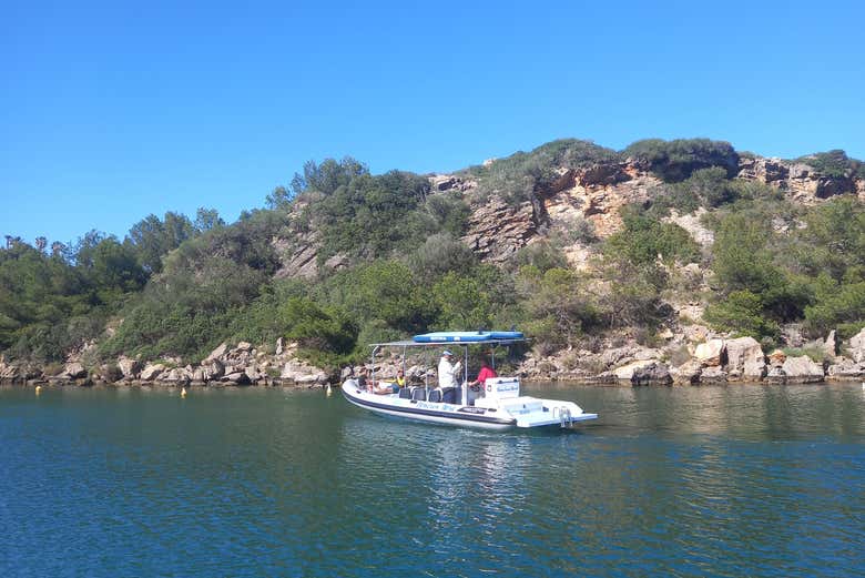 L'imbarcazione dell'attività