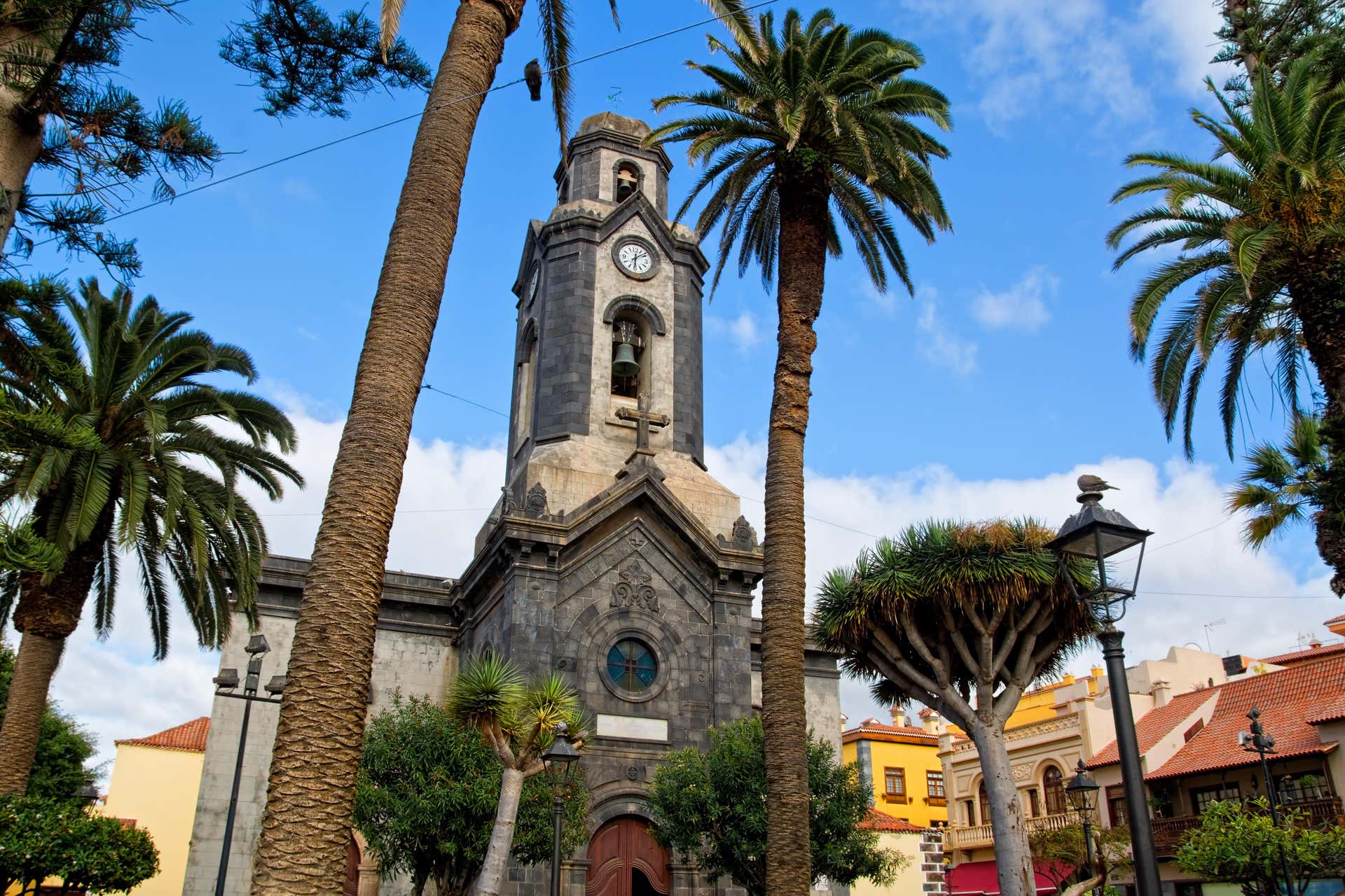 Free tour di Puerto de la Cruz