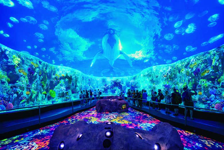 Acuario del Loro Parque