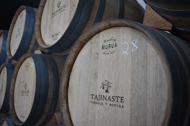 Una botte della cantina di Tajinaste