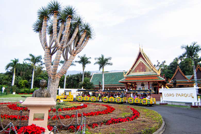 Entrada del Loro Parque