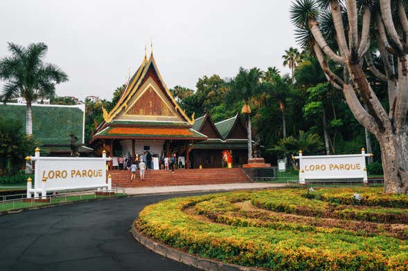 Entrada al Loro Parque + Siam Park