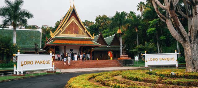 Entrada al Loro Parque + Siam Park