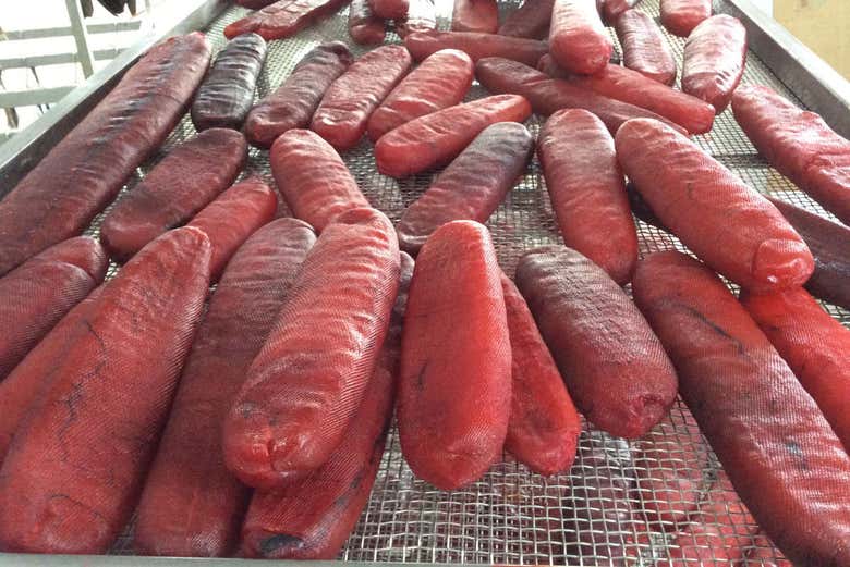 Preparando la bottarga per la salagione