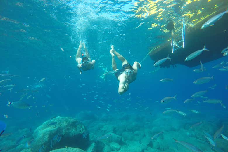 Podréis practicar snorkel