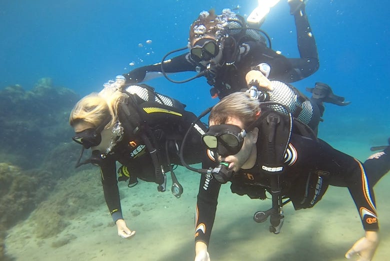 Scuba diving in the Atlantic Ocean