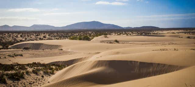 Excursión a Corralejo, La Oliva y Betancuria para cruceros