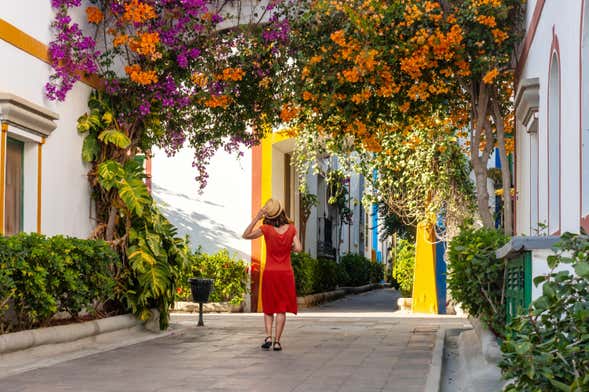 Whale & Dolphin Watching + Puerto de Mogán Market Tour