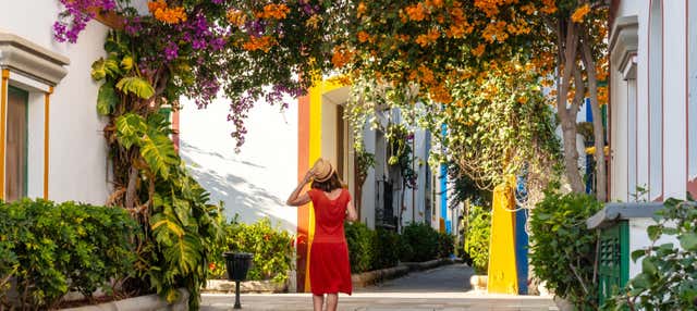 Avistamiento de delfines y ballenas en catamarán + Mercadillo de Puerto de Mogán