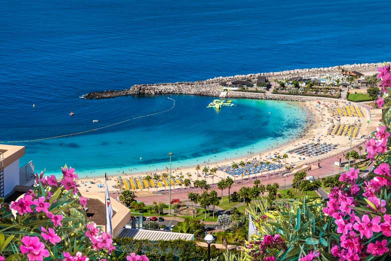 Playa de Amadores, en el sur de Gran Canaria