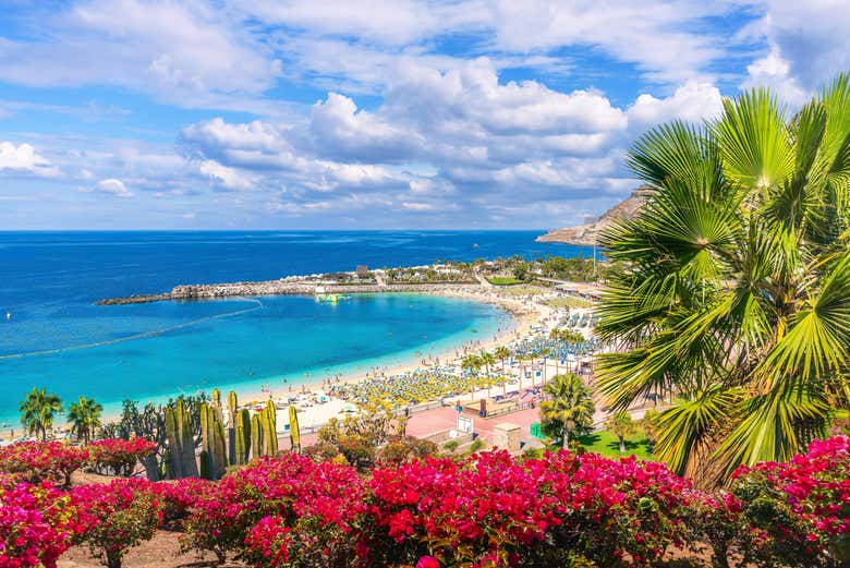 Recorreremos la costa sur de Gran Canaria