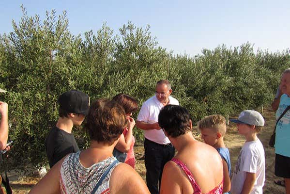 Visitando la finca de Oleo Almanzora