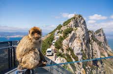 Excursión a Gibraltar