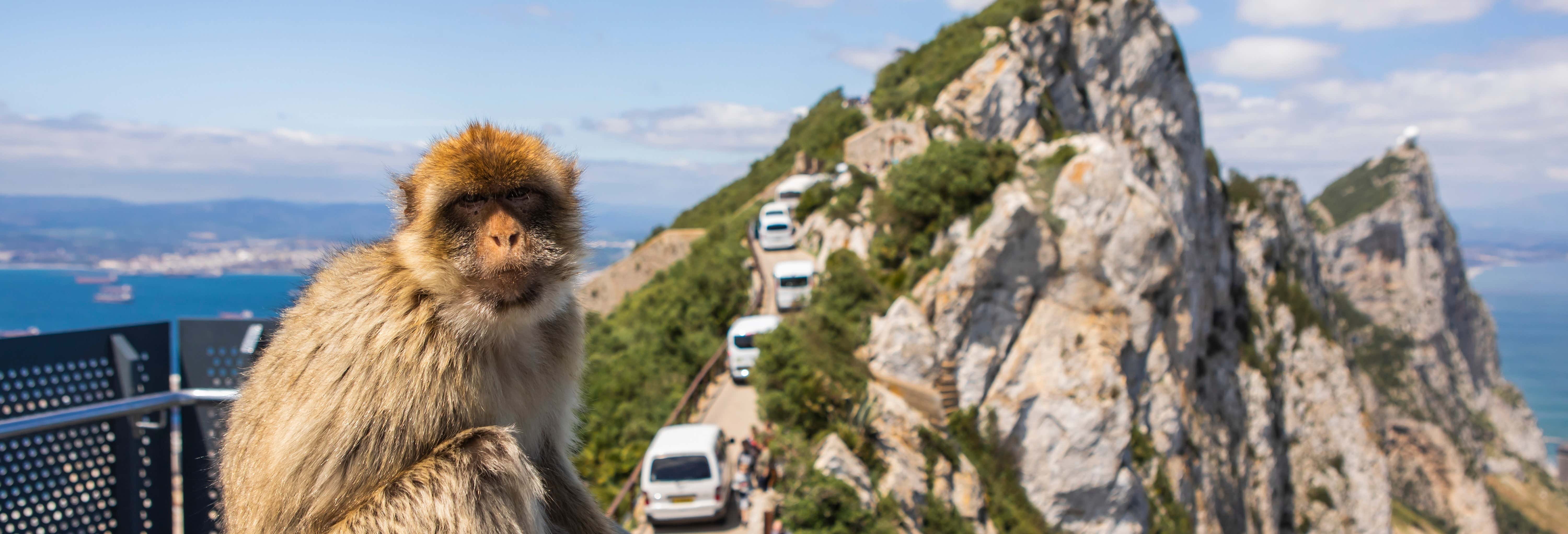 Excursões de um dia em Punta Umbría