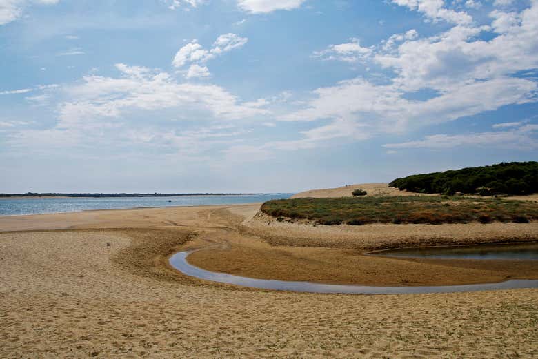 Le lagune di Odiel