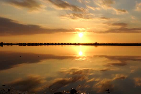 Paseo en barco por las marismas del Odiel al atardecer