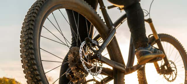 Tour en bicicleta por las marismas del Odiel