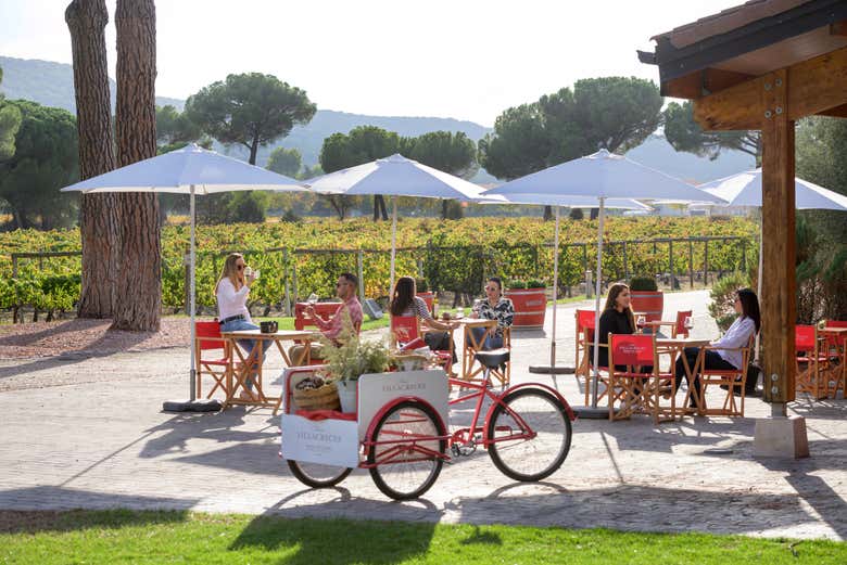 Profitez de la terrasse du domaine