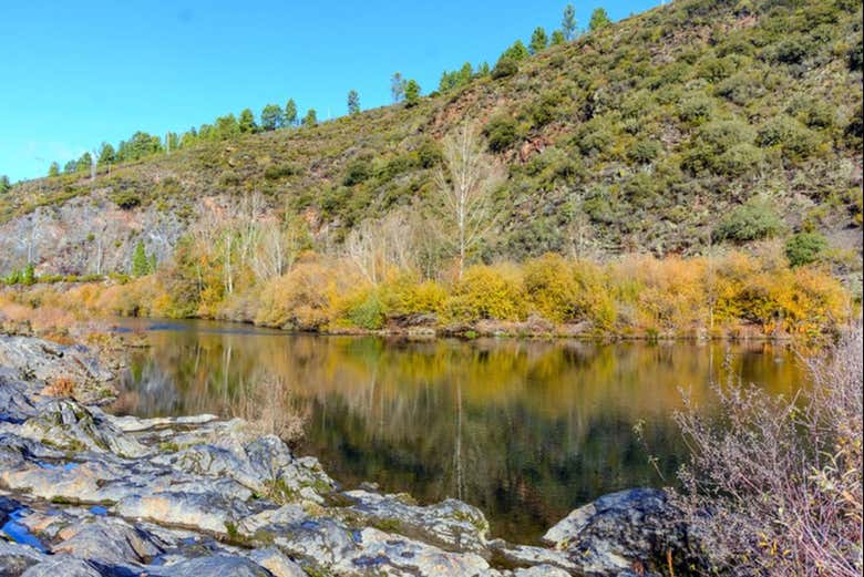 Vegetación en el valle de Quiroga