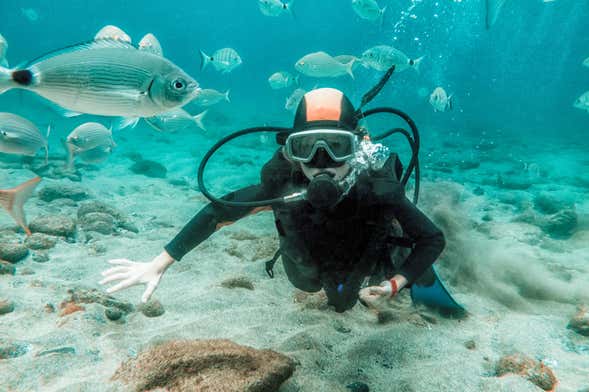 Curso de mergulho PADI Open Water em Radazul