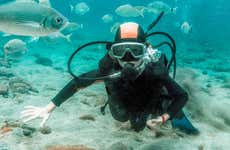 Curso de buceo PADI Open Water en Radazul