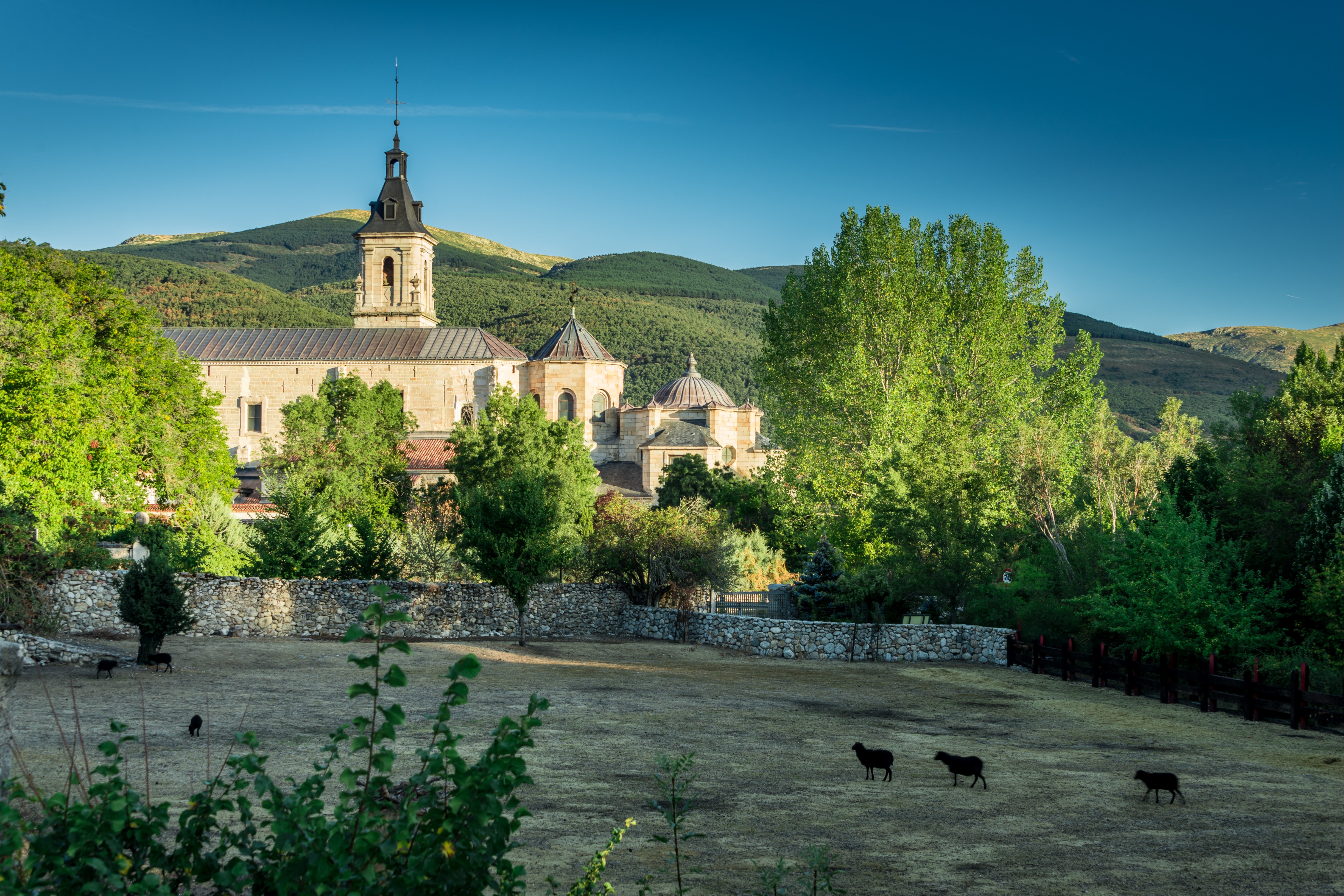 Vista de los tejados del monasterio