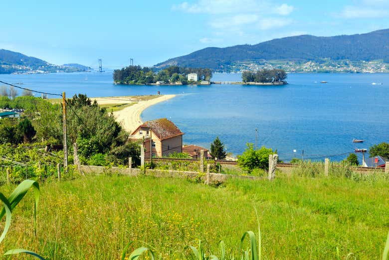 Panorâmica da ilha de San Simón