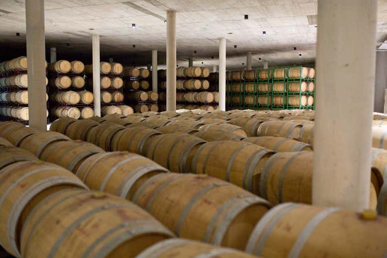 Sala de barricas de la bodega Sierra Norte