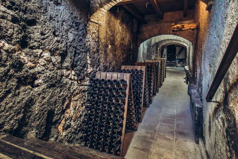 Bodega subterránea de Pago de Tharsys