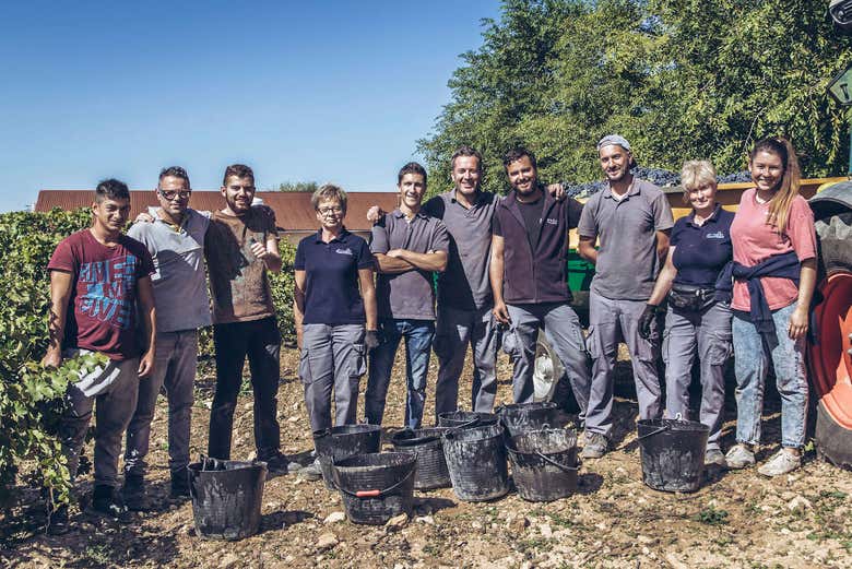 Equipo de vendimia de Pago de Tharsys