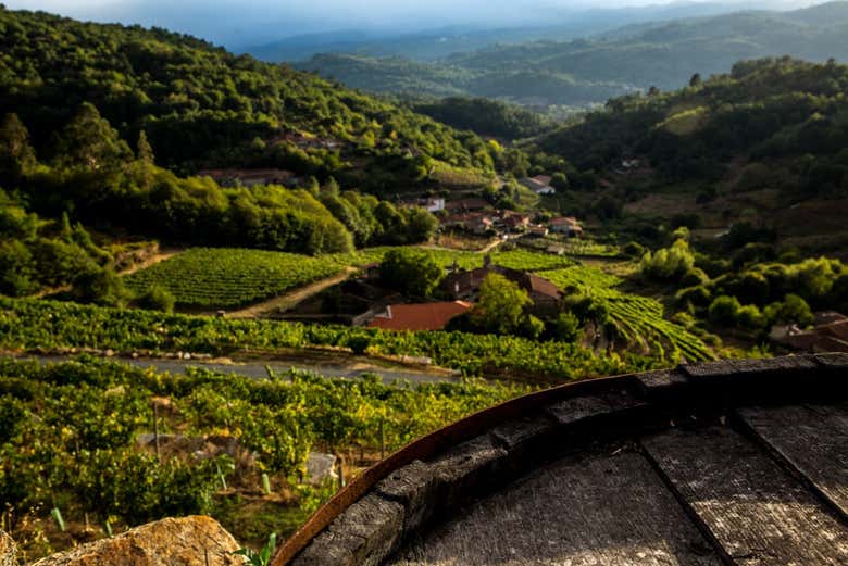 Vue sur le paysage environnant