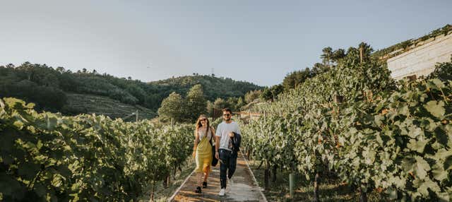 Visita a la bodega Pazo de Toubes