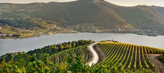 Visita a la bodega Viña Costeira