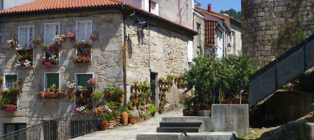 Visita guiada por Ribadavia