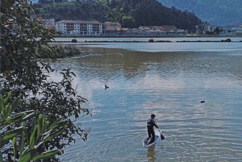 Rota de paddle surf por Ribadesella