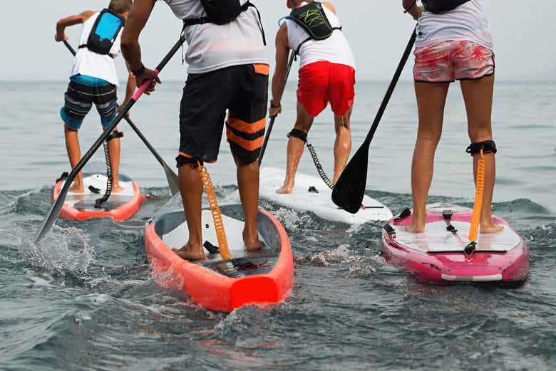 Alquiler de paddle surf