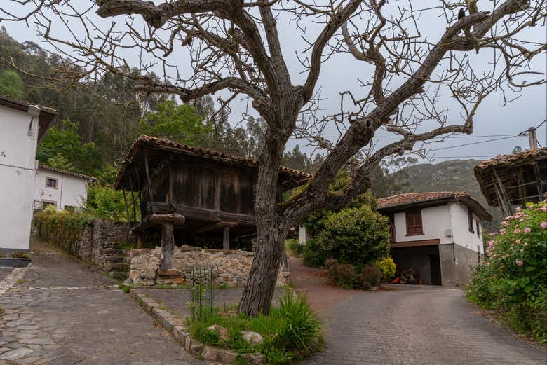 Um espigueiro asturiano no povoado de Cuevas