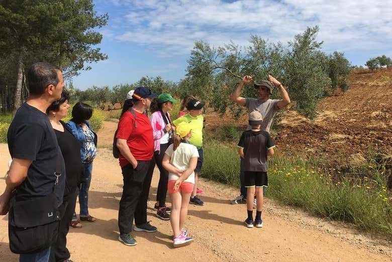 Atendiendo a las explicaciones del guía