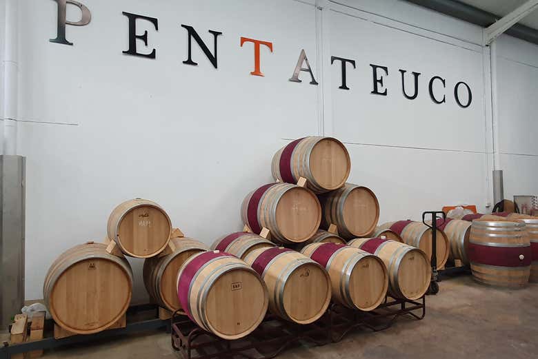 Barricas de vino en la bodega Pentateuco