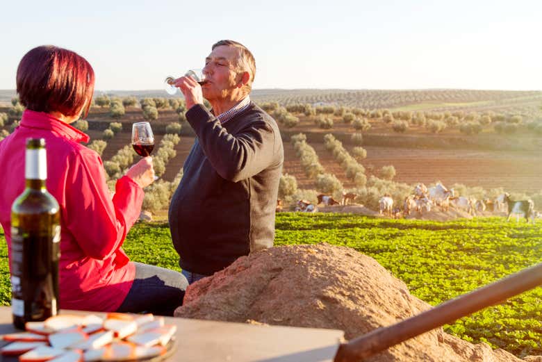 Disfrutando de una cata de vinos y quesos