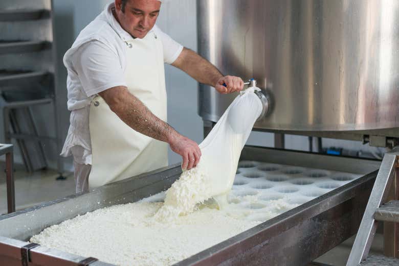 Fábrica de quesos Buenavista