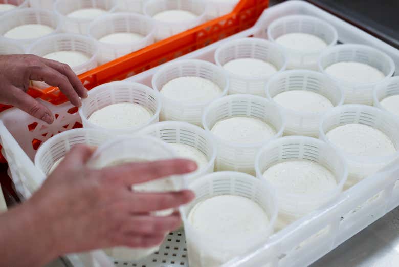 Ricos quesos de Extremadura