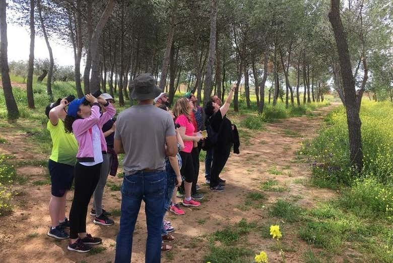 Explicaciones durante el tour