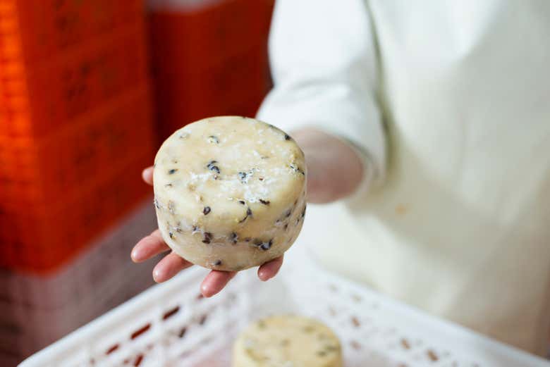 Variedad de queso de Solocabra